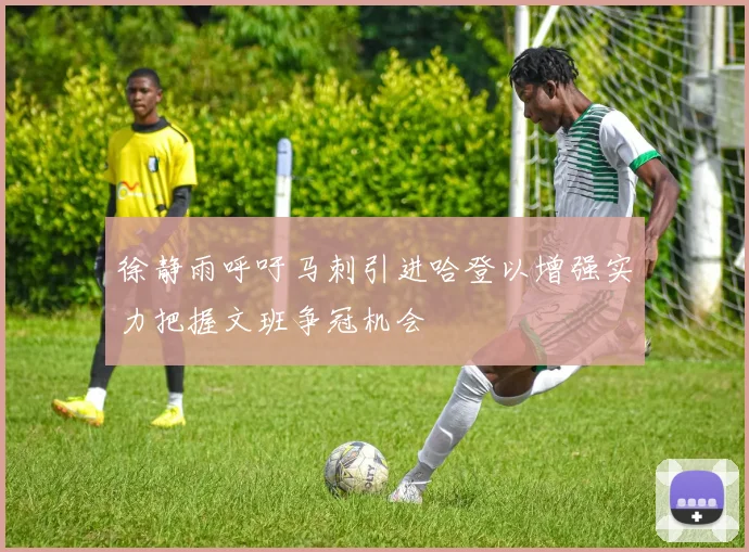徐静雨呼吁马刺引进哈登以增强实力把握文班争冠机会