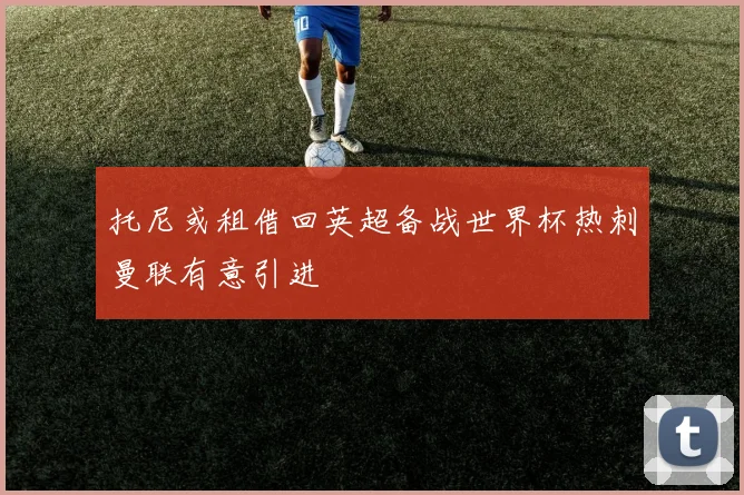 托尼或租借回英超备战世界杯热刺曼联有意引进